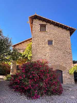 Prachtige oleanders tegen het huis