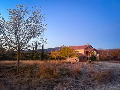 Winterstilte rond het domein